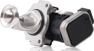 Produktbild von DELPHI EG10431-12B1 AGR-Ventil für VW SHARAN (7M8, 7M9, 7M6) Abgasrückführungsventil