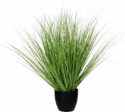 Productafbeelding van Mica Decorations Gras Kunstplant - H68 x Ø50 cm - Groen