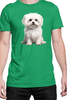 Immagine prodotto di Maglietta da uomo Dogs Breeds Maltese Dog Breed 006, Man S , Vert