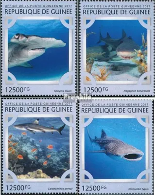 Produktbild von Briefmarken Guinea 2017 Mi 12176-12179 (kompl. Ausgabe) postfrisch Haie