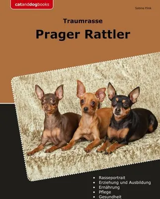 Zdjęcie produktu dla Traumrasse Prager Rattler