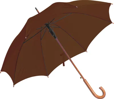 Produktbild von Automatik-Regenschirm / Farbe: braun