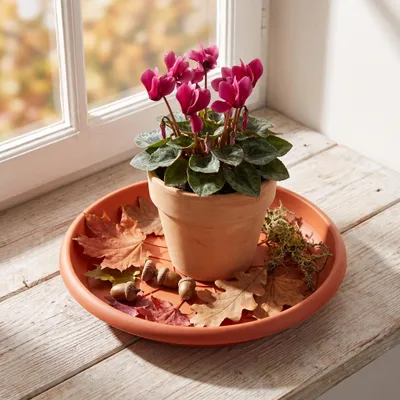 Immagine prodotto di Piattino LINDA Kusto 20 cm terra 275035