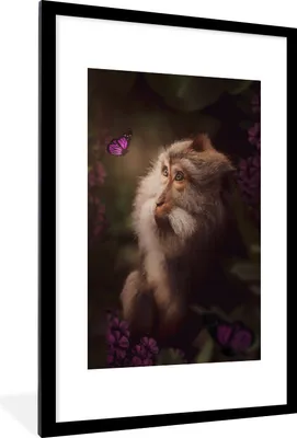Produktbild von MuchoWow® MuchoWow® Gerahmtes Poster Affe - Schmetterling - Dschungel 60x90 cm - Poster mit zchwarzem Bilderrahmen - Dekoration - Wandposter Wohnzimmer - Hochwertig
