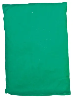 Produktbild von EDUPLAY 170-097 Bohnensäckchen, 20 x 15 cm Kunststoffgranulat, Baumwolle, waschbar bis 30°C., grün