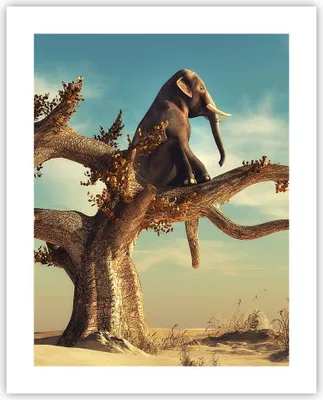 Produktbild von Poster - Poster ohne Rahmen - Sitzen Elefant Baum - 40x50 cm - Wand Bild - Wanddeko - Wandbilder - Kunstposter - Wandposter - Bilder - Kunstdruck - Wanddekoration - Wandbild - P2XPA40x50-4345