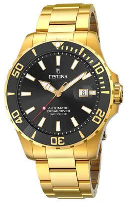 Obrázek produktu pro Pánské hodinky Festina F20533-2 zlaté