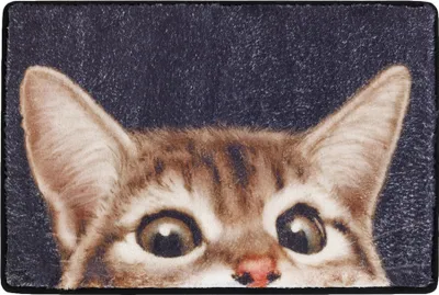 Produktbild von Fußmatte KATZE 60x40x1,5 cm