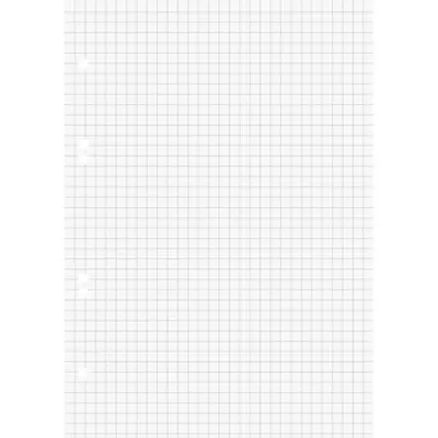 Produktbild von Ringbucheinlagen A5 kariert 50 Blatt