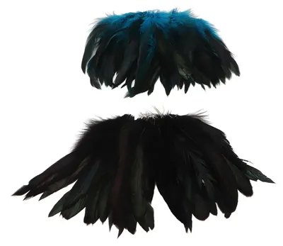 Immagine prodotto di 100 piume, 15-20 cm, fai da te, bellissime per cucire, bricolage, abbigliamento, decorazioni, accessori