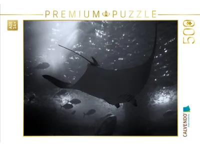 Produktbild von CALVENDO Puzzle Riesenmanta | 500 Teile Lege-Größe 48 × 36 cm Foto-Puzzle für Erwachsene