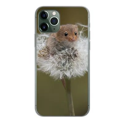 Produktbild von MuchoWow® Handyhülle Schutzhülle Hülle für iPhone 11 Pro Maus - Jung - Blumen Silikon Softcase Handy Hülle - Handy