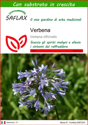 Immagine prodotto di SAFLAX  - Verbena - 250 semi - Con substrato - Verbena