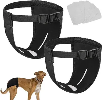 Produktbild von Famanu Hundeunterhose Wiederverwendbar - Mit 6 Einlagen, Verstellbar, Waschbar (M)