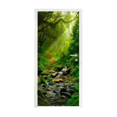 Obrázok produktu pre MuchoWow® Tapety na dvere - Samolepiaca fólia na dvere - Džungľa - voda - listy - slnko - príroda - 205x90x0.1cm - Plagát na dvere - Samolepiaca fólia na dvere