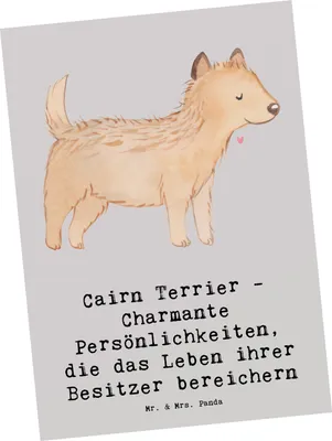 Produktbild von Mr. & Mrs. Panda Postkarte Cairn Terrier - Grau Pastell - Geschenk, Hunderassen Vielfalt, bewegungsfreudig, Fotokarte, liebenswerte Hunde, Hunderasse, Postkarten, Hund