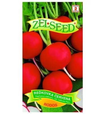 Produktbild von Samen - RADIES „RODOS“