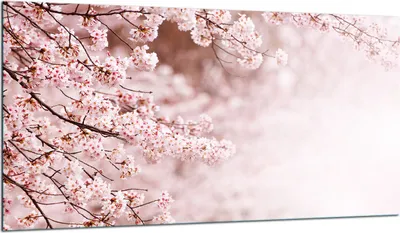 Produktbild von Herdabdeckplatte Glaskeramikkochfeld-Abdeckung Spritzschutz Glas 90x52 Blumen