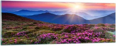 Produktbild von Bilder auf glas - Wiese Berg Himmel Landschaft - 90x30cm - Glasbilder - Wandbilder - Kunstdruck - zum Aufhängen bereit - Wanddekoration aus Glas - Glas Bilder - Wandbild auf Glas - GAB90x30-2719