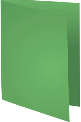 Produktbild von Exacompta 5x Pack 100 Aktendeckeln Recycling A4 - Intensivgrün - 410013E