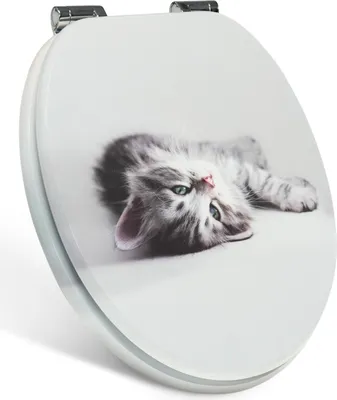 A toilet seat with a printed image of a kitten.