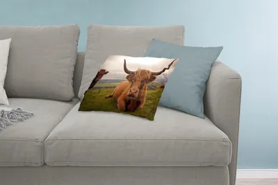 Produktbild von MuchoWow® Zierkissen Sofakissen Wohnzimmer Dekokissen 60x40 cm Schottisches Hochlandrind - Tiere - Berg - Kopfkissen - Polster mit Foto