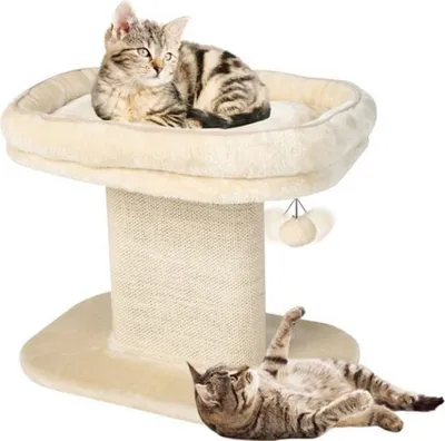 Immagine prodotto di COSTWAY piccolo tiragraffi, alto 50 cm, albero per gatti con sedile in morbido peluche e tiragraffi in sisal e pallina, tiragraffi in legno per gatti, albero da arrampicata per gatti, albero dei giochi (beige)