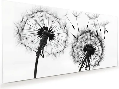 Produktbild von Glasbild 60x30cm in XXL für Wohnzimmer, Schlafzimmer Motiv Pusteblumen