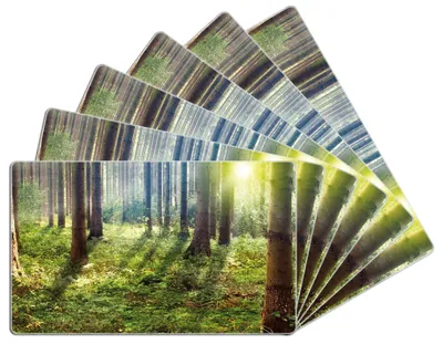 Produktbild von Wallario Frühstücksbrettchen 6er Set aus Glas, je 14 x 23 cm, mit rutschfesten Füßen, Motiv Sonnenuntergang im Wald zwischen den Bäumen