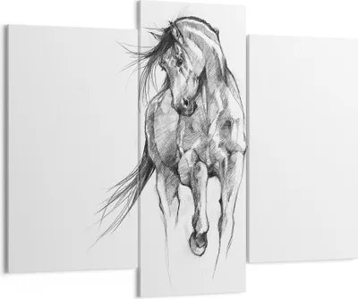 Produktbild von Bild auf Leinwand - Leinwandbild - 3 Teile - Pferd Galopp Tier - 130x100cm - Wand Bild - Wanddeko - Wandbilder - Leinwanddruck - Bilder - Wanddekoration - Leinwand bilder - Wandbild - CB130x100-5080