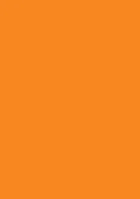 Produktbild von HEYDA 203160042 Plakatkarton Standardfarben 48 x 68 cm mandarine