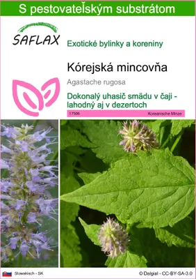 Obrázok produktu pre SAFLAX - kórejská mincovňa - Agastache rugosa - 1200 Semená - S pestovateľským substrátom bez klíčkov