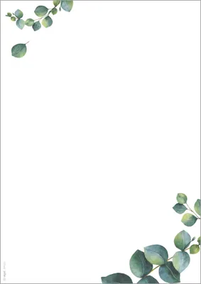 Immagine prodotto di sigel DP626 carta da disegno sigel "Eucalyptus", DIN A4, 90 g/m²