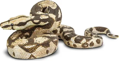 Produktbild von Safari Ltd Boa Constrictor Brown / Beige One Size