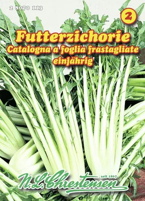 Produktbild von Futterzichorie | Chicoréesamen von N.L. Chrestensen