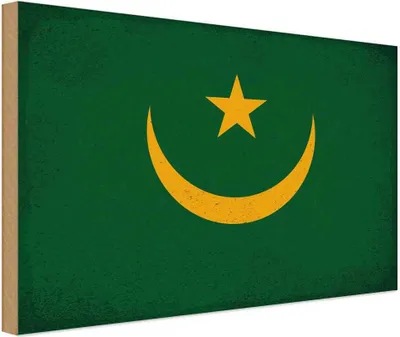 Produktbild von vianmo Holzschild 12x18 cm Mauretanien Mauritania Vintage Flagge Fahne Wappen