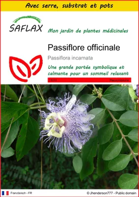 Image de SAFLAX Ensemble de culture - Passiflore officinale - 5 graines - Passiflora