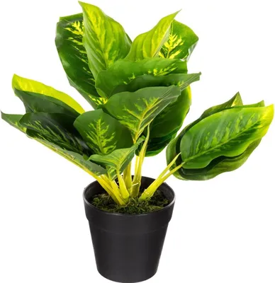 Image de Plante artificielle en pot KALATEA, 30 cm