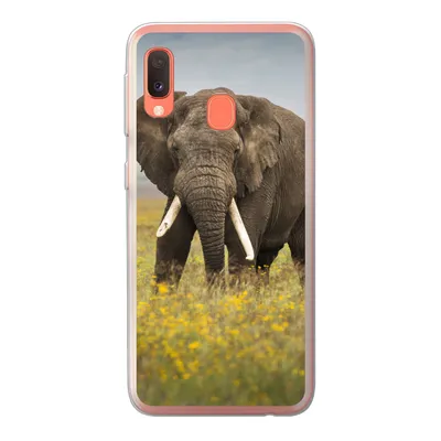 Produktbild von MuchoWow® Handyhülle Schutzhülle Hülle für Samsung Galaxy A20e Elefant - Blumen - Gras - Tiere - Natur Silikon Softcase Handy Hülle - Abdeckung