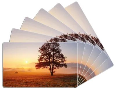 Produktbild von Wallario Frühstücksbrettchen 6er Set aus Glas, je 14 x 23 cm, mit rutschfesten Füßen, Motiv Sonnenaufgang über der Wiese mit Nebel