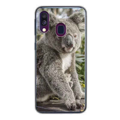 Produktbild von MuchoWow® Handyhülle Schutzhülle Hülle für Samsung Galaxy A40 Koala - Holz - Pflanzen - Kinder - Jungen - Mädchen Silikon Softcase Handy Hülle - Handy-Tasche