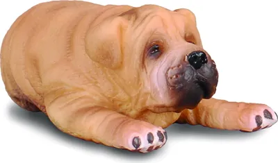 Zdjęcie produktu dla COLLECTA dog Shar Pei S 88194 puppy 5cm