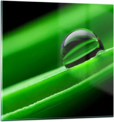 Produktbild von Bilder auf glas - Pflanze Tropfen Wasser Blase - 60x60cm - Glasbilder - Wandbilder - Kunstdruck - zum Aufhängen bereit - Wanddekoration aus Glas - Glas Bilder - Wandbild auf Glas - GAC60x60-2352