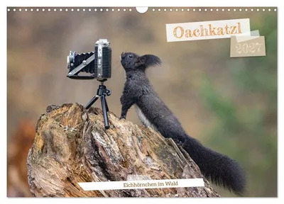 Produktbild von Oachkatzl (Wandkalender 2027 DIN A3 quer), CALVENDO Monatskalender