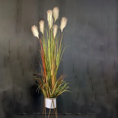 Produktbild von 360Home Simulierte Schilfrohr Topfpflanze Ornamente Trockenblumen Kunstpflanze künstliche Pflanze