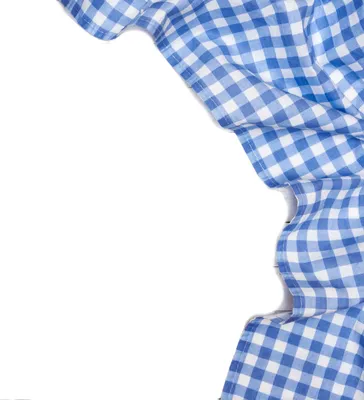 Image de Tissu au mètre à carreaux paysans coton 10 mm - carreaux bleus et blancs - largeur:160 cm