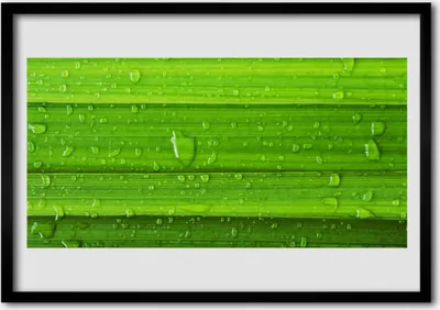 Produktbild von Bild 100x70 MDF-Rahmen Wandkunst Gras Natur Pflanze