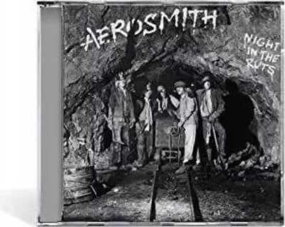 Productafbeelding van Night In The Ruts (1 CD)