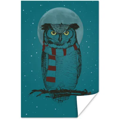 Produktbild von MuchoWow® Poster Eule - Winter - Nacht - Mond 80x120 cm - Papierdruck