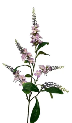 Immagine prodotto di Roberts Collection ramo artificiale Lupinenspray 95 cm viola chiaro